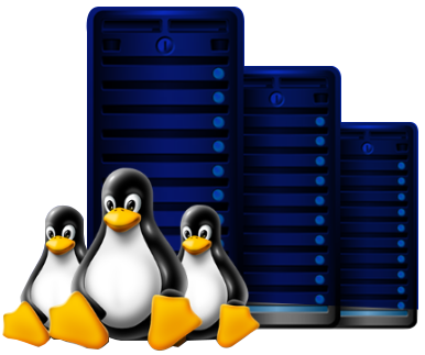Linux Hosting Servers